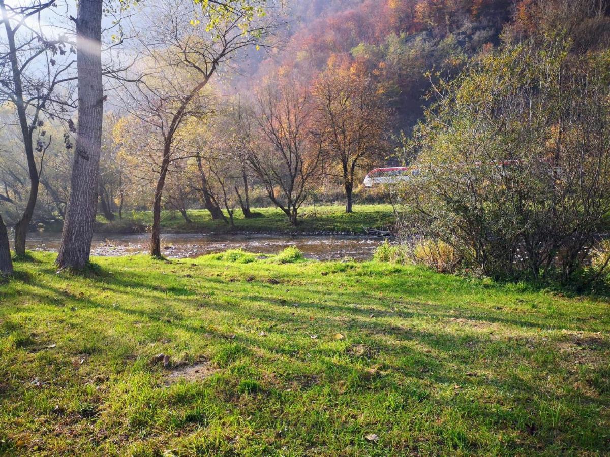 Casute Zavoi Bulz Villa Exteriör bild