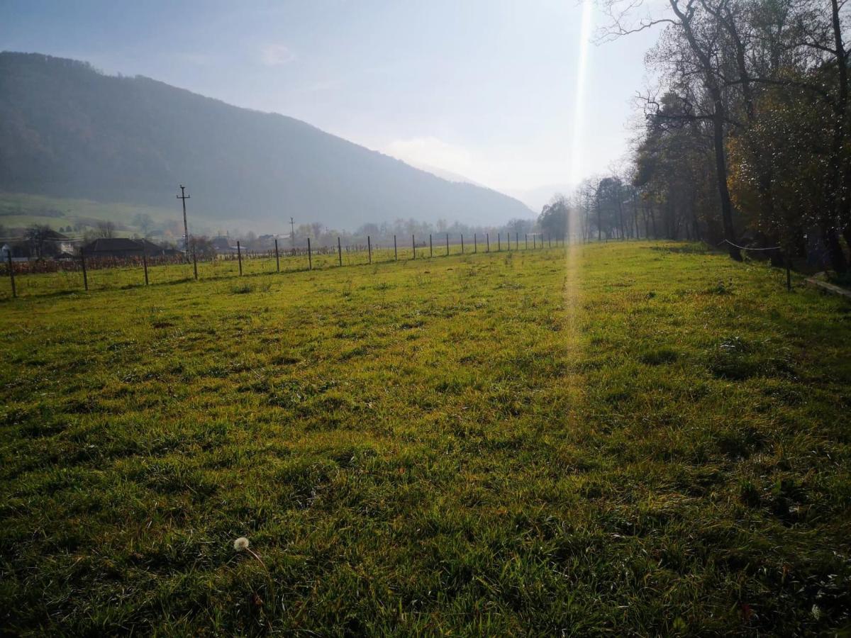 Casute Zavoi Bulz Villa Exteriör bild
