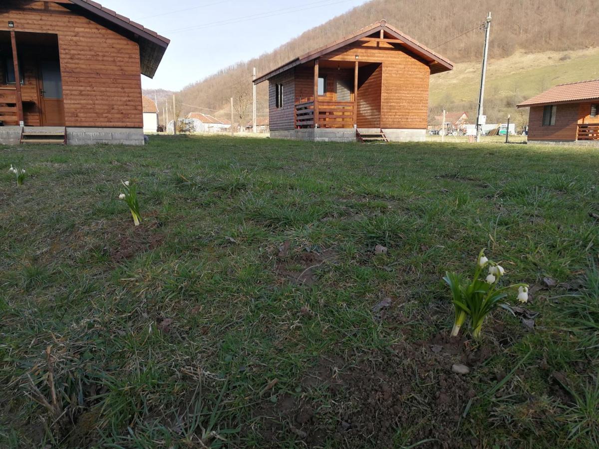 Casute Zavoi Bulz Villa Exteriör bild