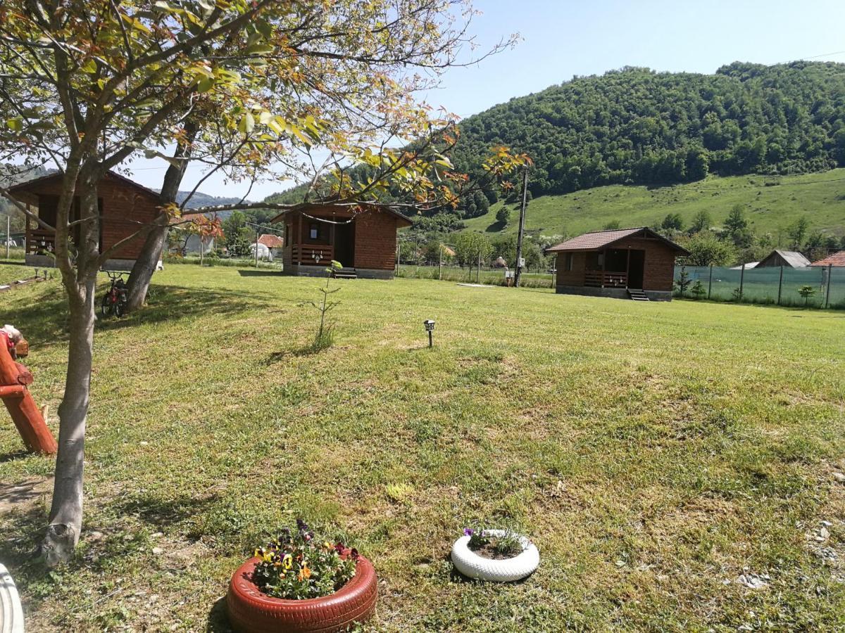 Casute Zavoi Bulz Villa Exteriör bild
