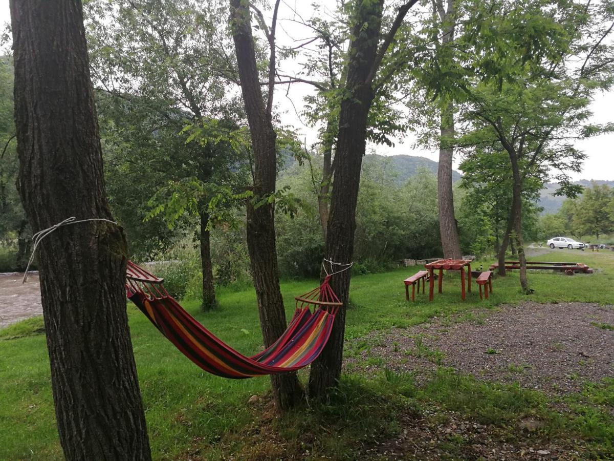 Casute Zavoi Bulz Villa Exteriör bild