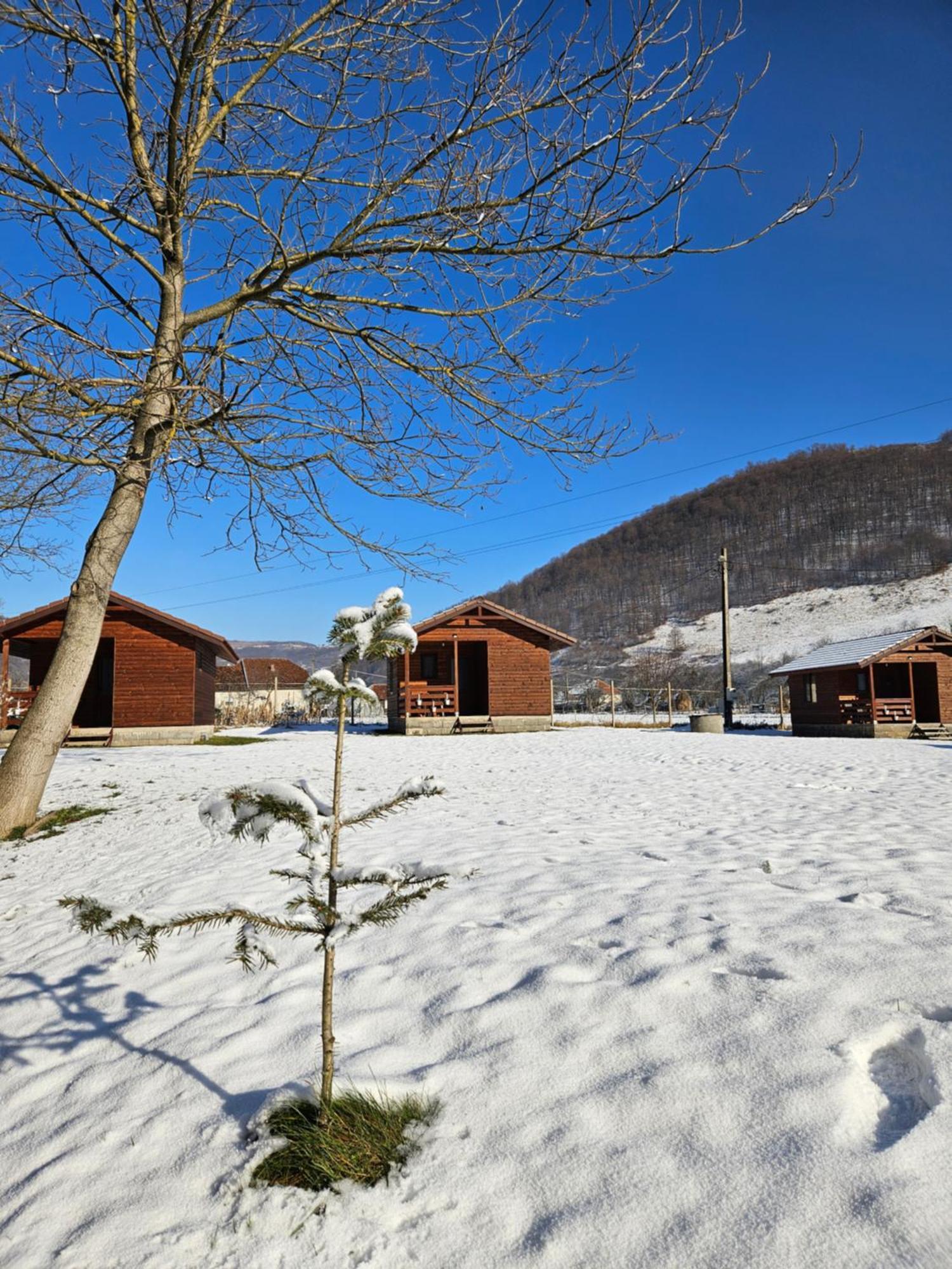 Casute Zavoi Bulz Villa Exteriör bild