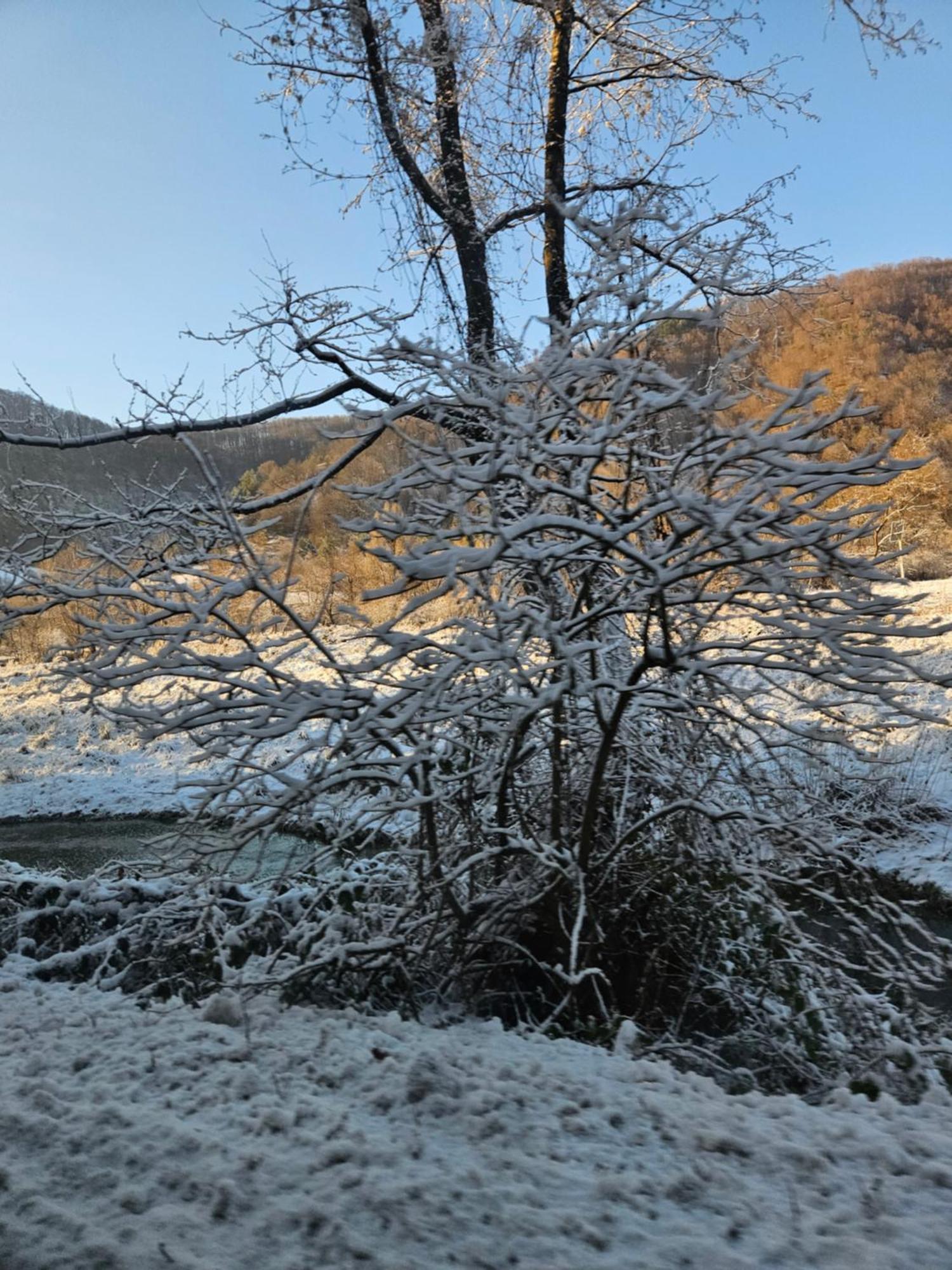 Casute Zavoi Bulz Villa Exteriör bild