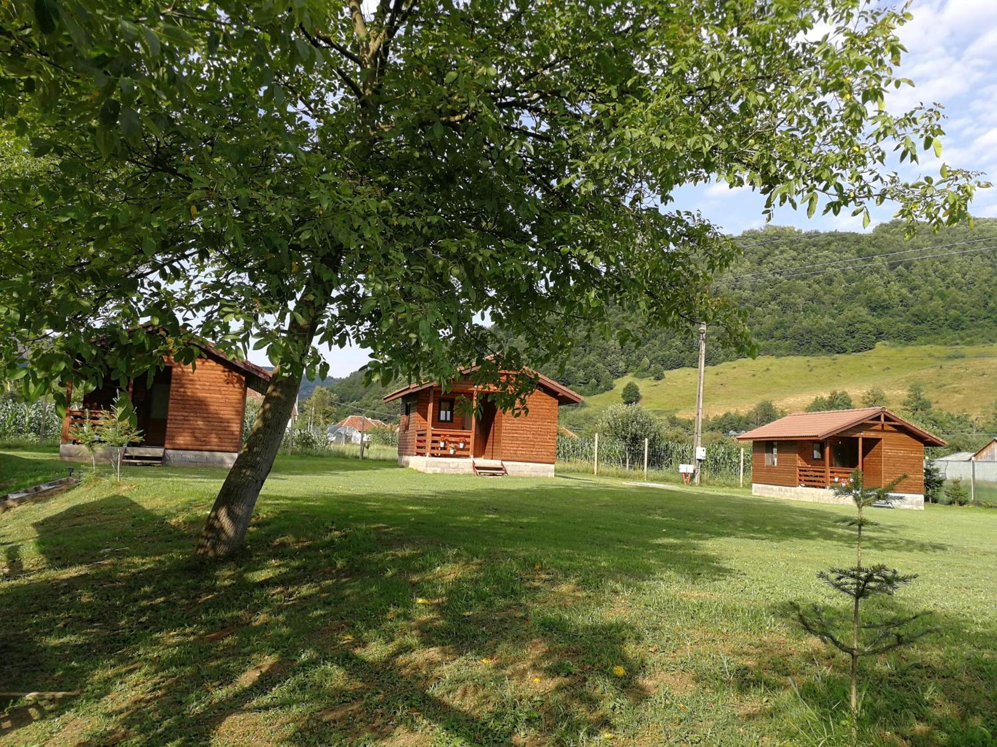 Casute Zavoi Bulz Villa Exteriör bild