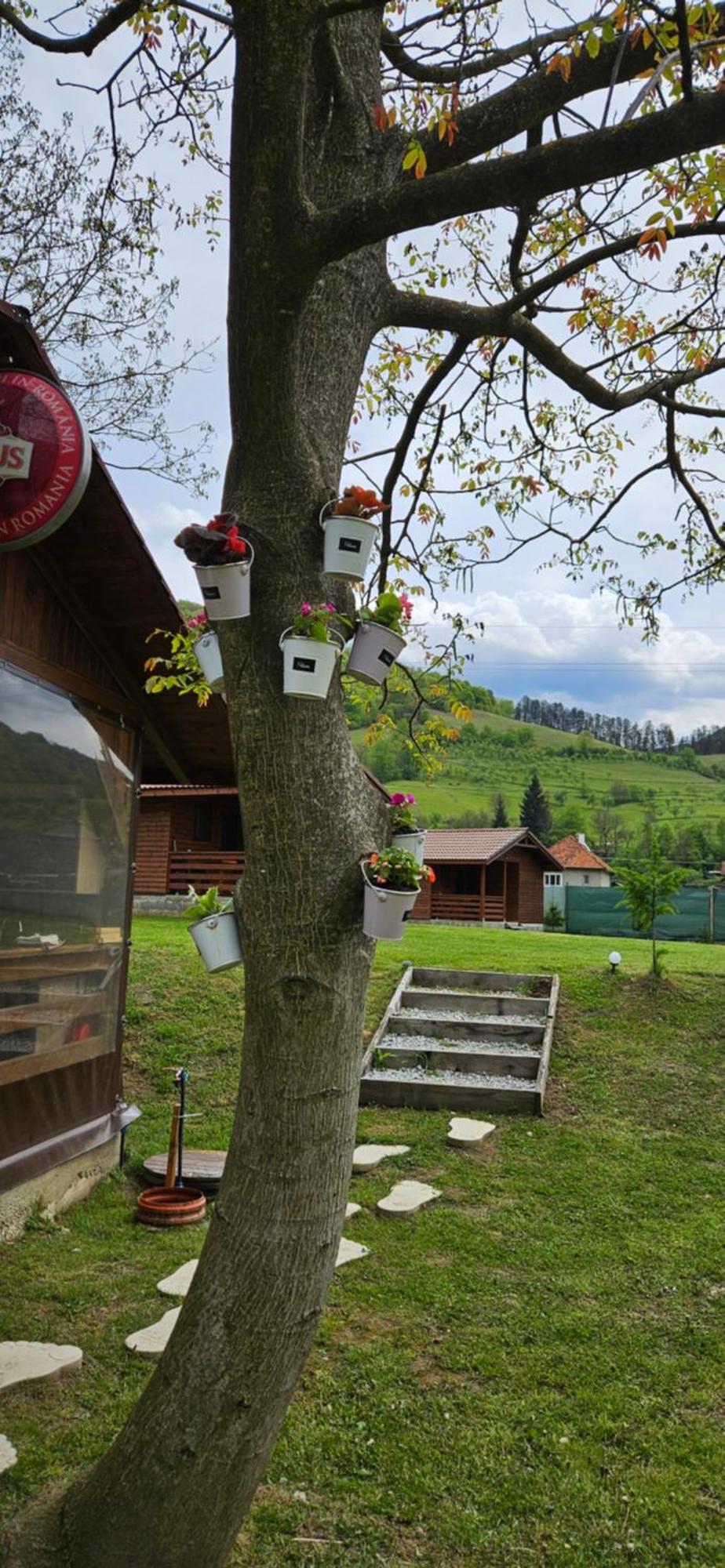 Casute Zavoi Bulz Villa Exteriör bild