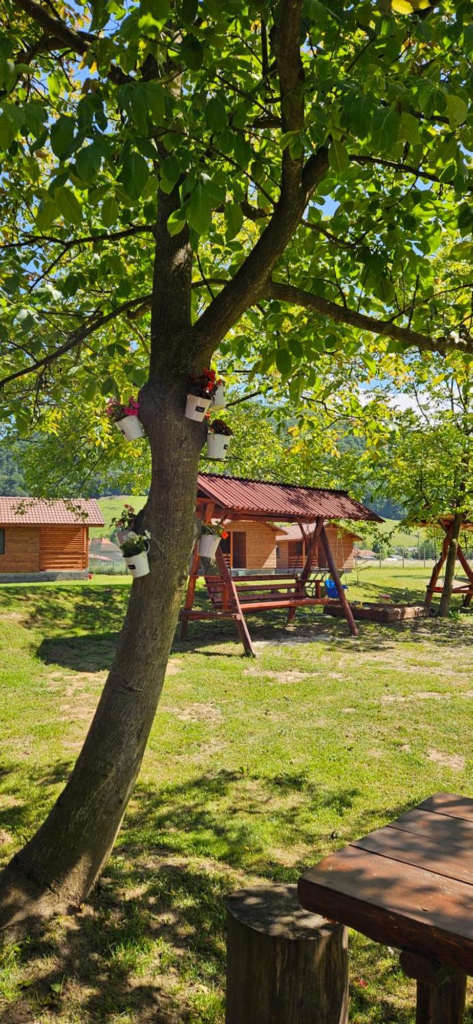Casute Zavoi Bulz Villa Exteriör bild