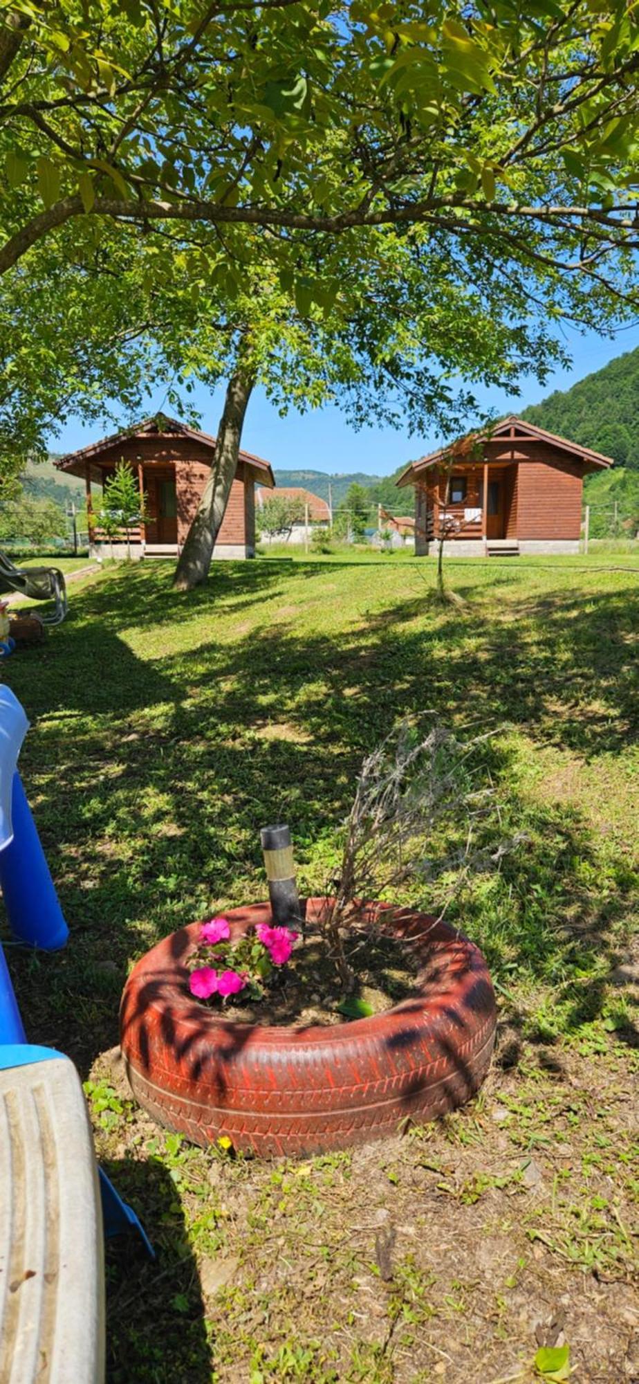 Casute Zavoi Bulz Villa Exteriör bild