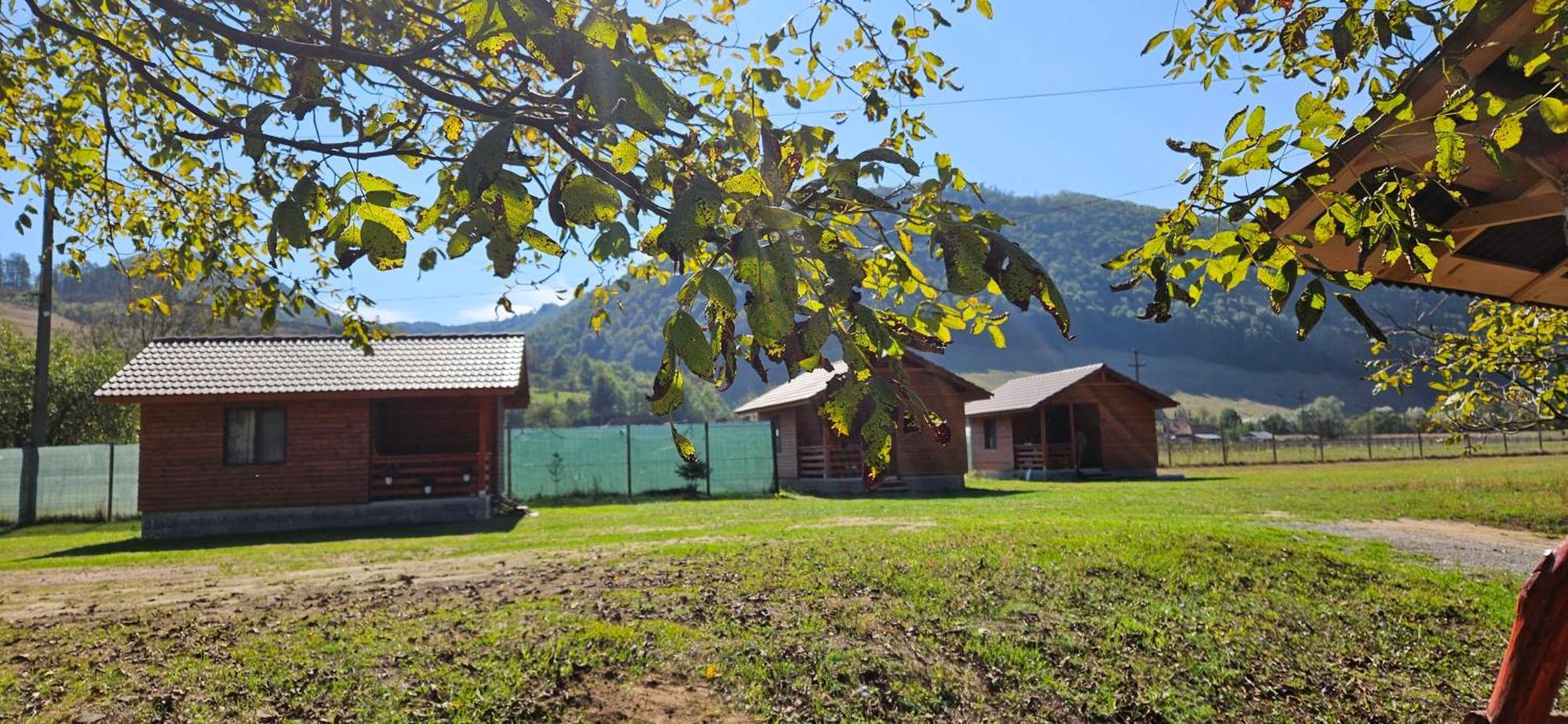Casute Zavoi Bulz Villa Exteriör bild